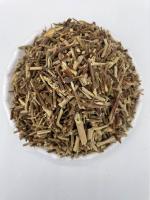 忍冬-功效与作用