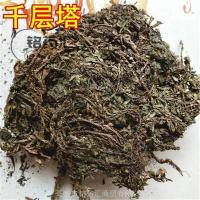 杉-功效与作用