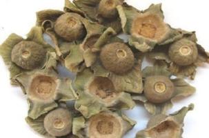 沙糖-功效与作用