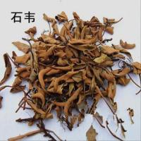 石韦-功效与作用